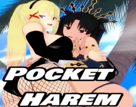 Pocket Harem